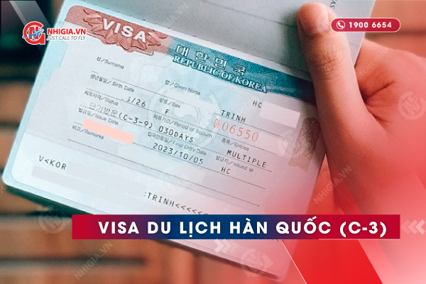 Visa du lịch Hàn Quốc C-3